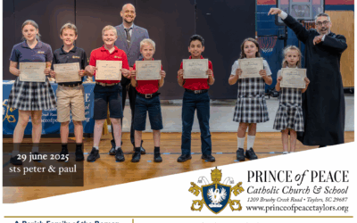 29 June 2025 Bulletin